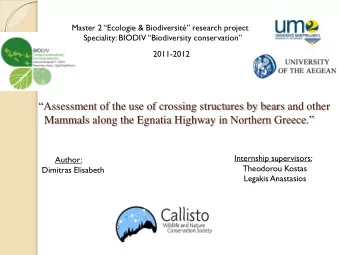 Mammals along the Egnatia Highway in Northern Greece.  Internship supervisors:  Author: