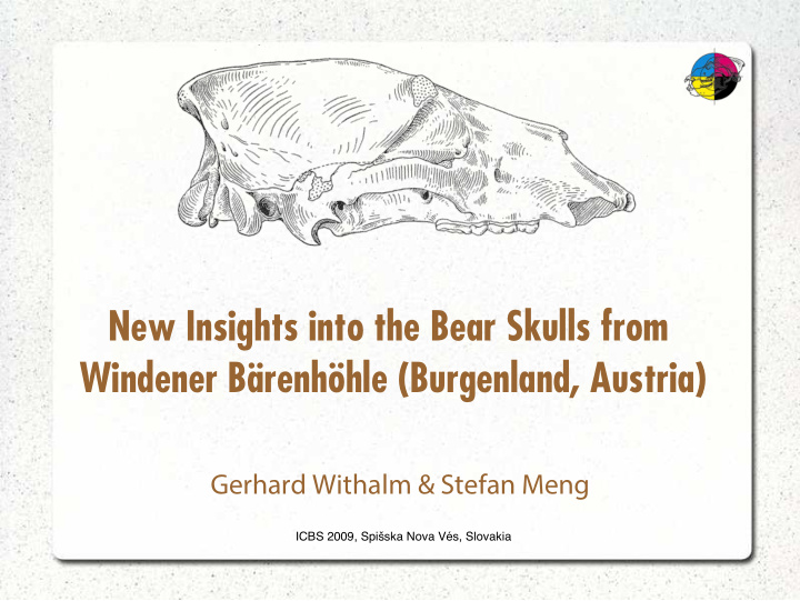 new insights into the bear skulls from windener b renh