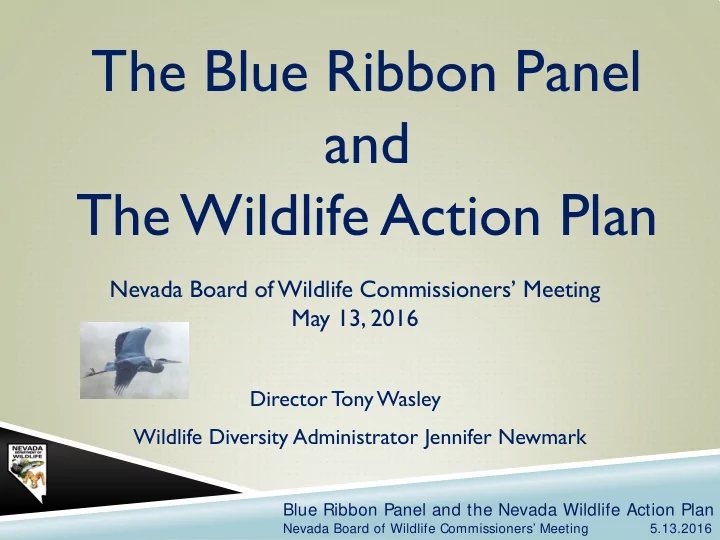 the blue ribbon panel and the wildlife action plan