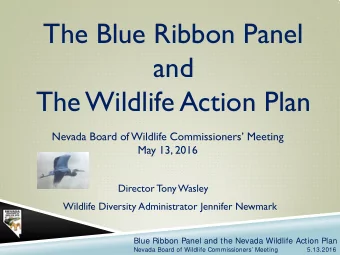 The Blue Ribbon Panel  and  The Wildlife Action Plan  Nevada Board of Wildlife Commissioners