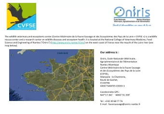 Wildlife rehabilitation was the first activity of the CVFSE and remains today an important one.