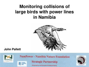 Monitoring collisions of  large birds with power lines  in Namibia  John Pallett  Need evidence