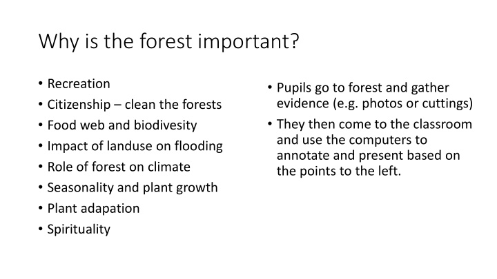 why is the forest important