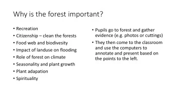 Why is the forest important?  Recreation  Pupils go to forest and gather  Citizenship