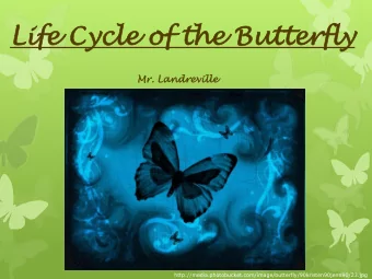 Lif  ife  e Cy  Cycle  e of  of th  the But  e Butterfly  erfly  Mr. Land  ndrev  reville lle