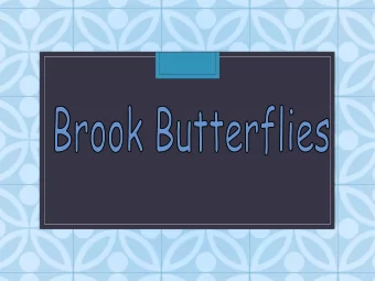 Staff  Mrs Waterworth  Mrs Ross  Mrs Price  Miss Bloomer  Mrs Humphries  Family Groups  All