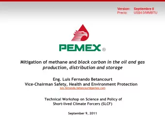 Eng. Luis Fernando Betancourt Vice-Chairman Safety, Health and Environment Protection