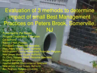 impact of small Best Management  Practices on Peters Brook, Somerville,  NJ  Presented by Pat
