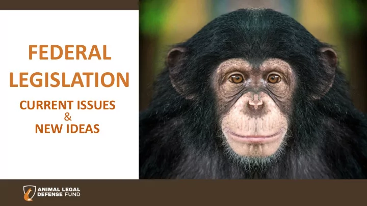 federal legislation