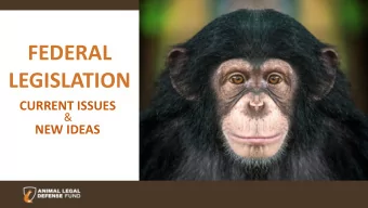 FEDERAL  LEGISLATION  CURRENT ISSUES  &amp;  NEW IDEAS  LEVELS OF GOVERNMENT  Local/Municipal