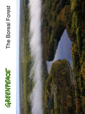 The Boreal Forest  Overview  - Introduction to the Boreal Forest  - Why the Boreal is important  -
