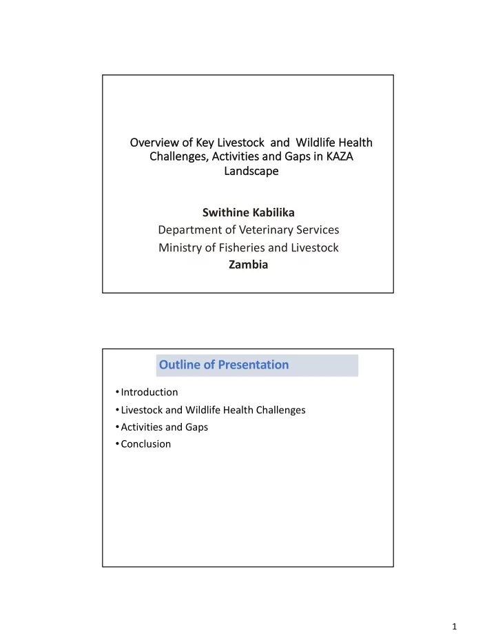 outline of presentation