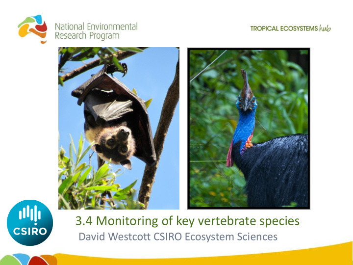 3 4 monitoring of key vertebrate species