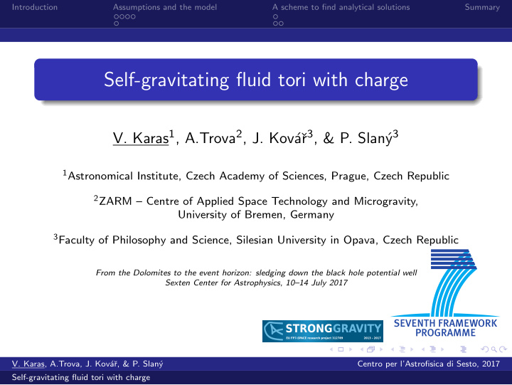 self gravitating fluid tori with charge