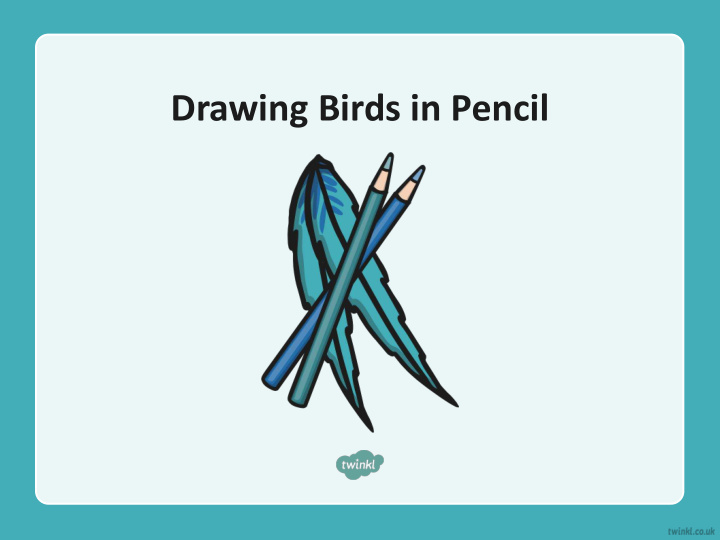 drawing birds in pencil comparing two birds