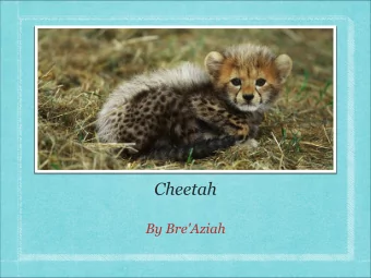 Cheetah  By Bre'Aziah  Habitat  Asia  Africa  Europe  Savanna's  Cheetah food  Antelope  Impala's