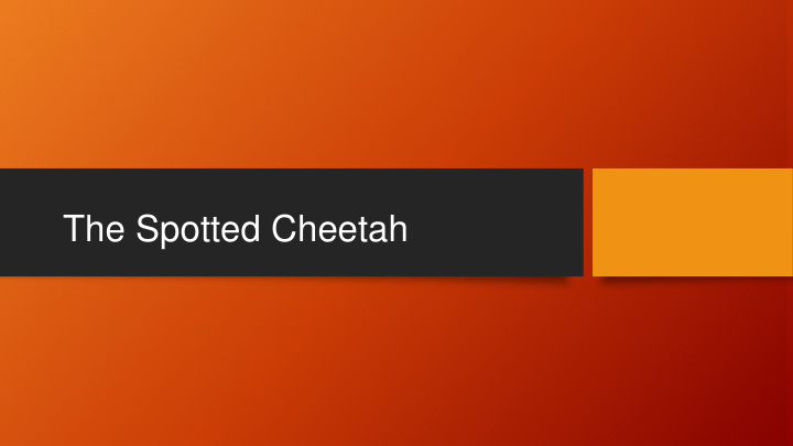 the spotted cheetah https youtube com watch v jvxx0pxu w