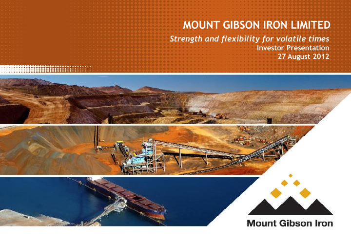 mount gibson iron limited