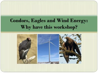 Condors, Eagles and Wind Energy:  Why have this workshop?  Focus on Renewable Energy  Energy