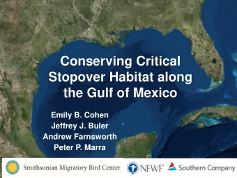 Conserving Critical  Stopover Habitat along  the Gulf of Mexico  Emily B. Cohen  Jeffrey J. Buler