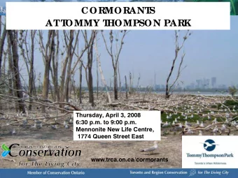 CORMORANT  S  AT  T  OMMY T  HOMPSON PARK Thursday, April 3, 2008 6:30 p.m. to 9:00 p.m.  Mennonite