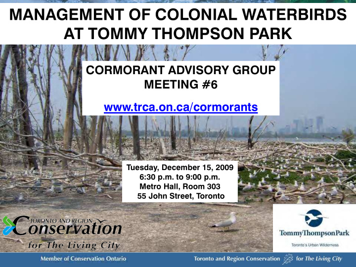 management of colonial waterbirds at tommy thompson park