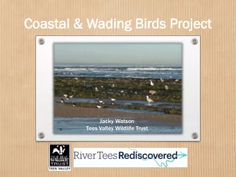 Coast  astal  al &amp; Wad  ading  ing Bir  irds  ds Pr  Project  ject  Jacky Watson  Tees Valley