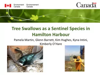 Tree Swallows as a Sentinel Species in  Hamilton Harbour  Pamela Martin, Glenn Barrett, Kim Hughes,