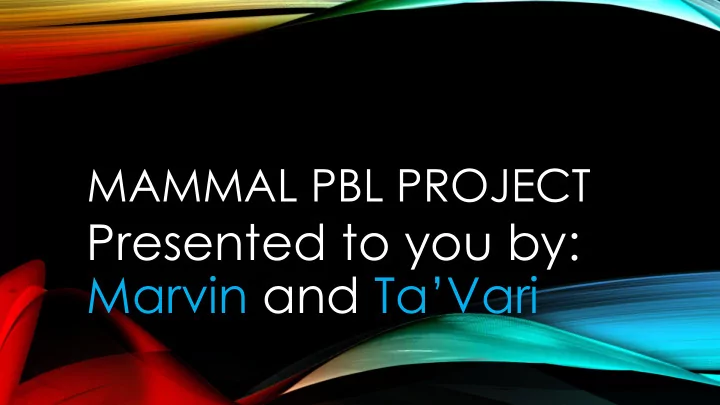 presented to you by marvin and ta vari 1 mountain lion