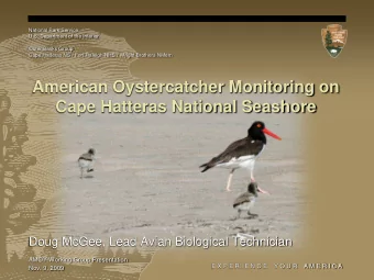 American Oystercatcher Monitoring on  Cape Hatteras National Seashore  Doug McGee, Lead Avian