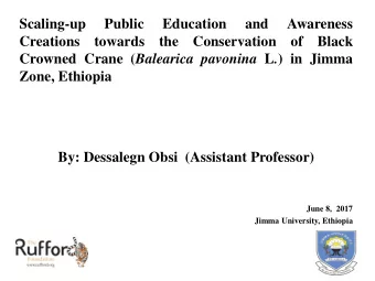 Crowned Crane ( Balearica pavonina L . ) in Jimma  Zone, Ethiopia  By: Dessalegn Obsi (Assistant