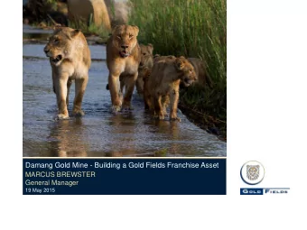 Damang Gold Mine - Building a Gold Fields Franchise Asset  MARCUS BREWSTER  General Manager  19 May