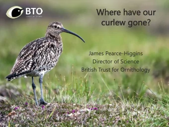 Wh  Where have  ve our  r  curlew  rlew gone?  e?  James Pearce-Higgins  Director of Science