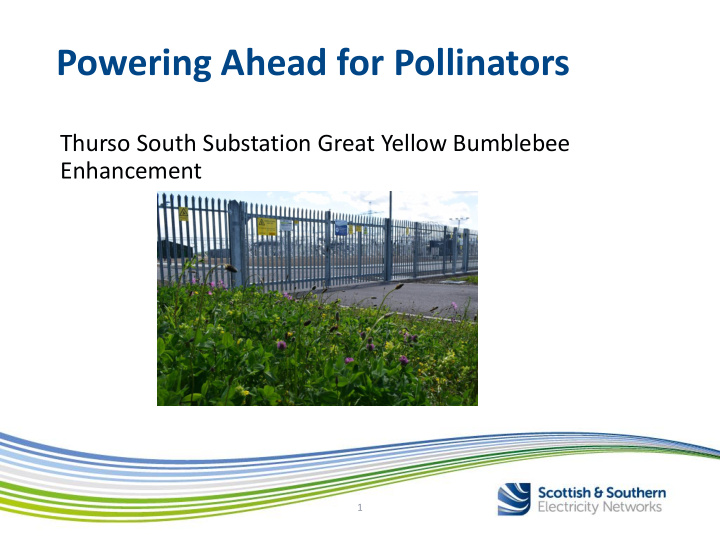 powering ahead for pollinators