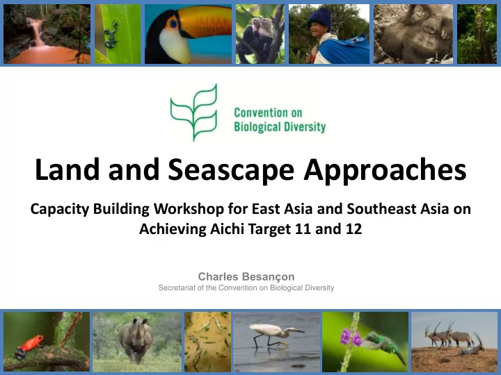 land and seascape approaches