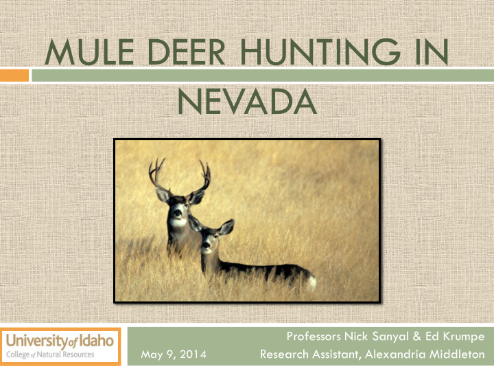 mule deer hunting in nevada