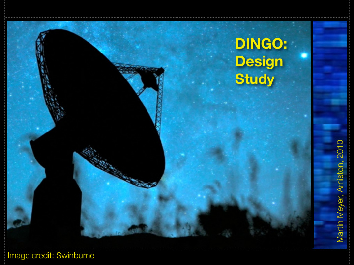 dingo design study