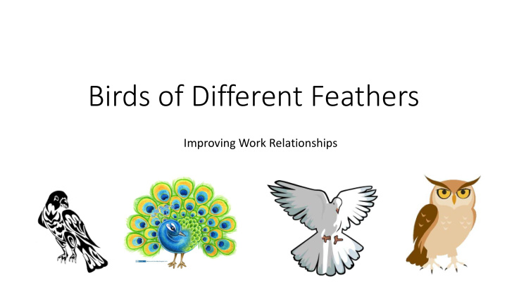 birds of different feathers