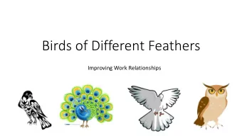 Birds of Different Feathers  Improving Work Relationships  Personal Work Style Assessment  Rank