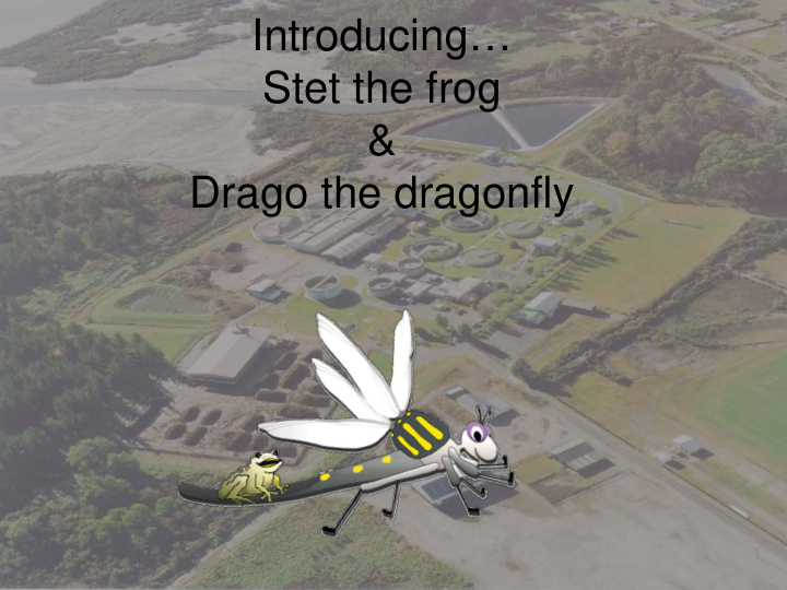 introducing stet the frog drago the dragonfly drago did