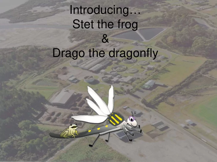 introducing stet the frog drago the dragonfly drago did