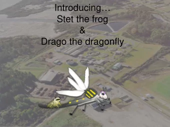 Introducing  Stet the frog  &amp;  Drago the dragonfly  Drago did you know that Rotoruas