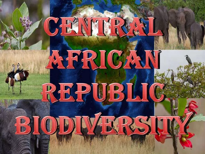 biodiversity