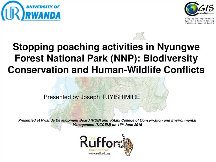 stopping poaching activities in nyungwe forest national