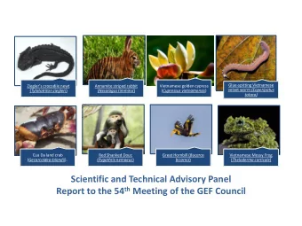 Scientific and Technical Advisory Panel Report to the 54 th Meeting of the GEF Council  STAP Panel