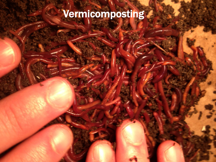 ve vermicomposting