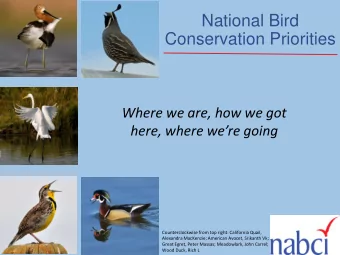 National Bird  Conservation Priorities  Where we are, how we got  here, where were going