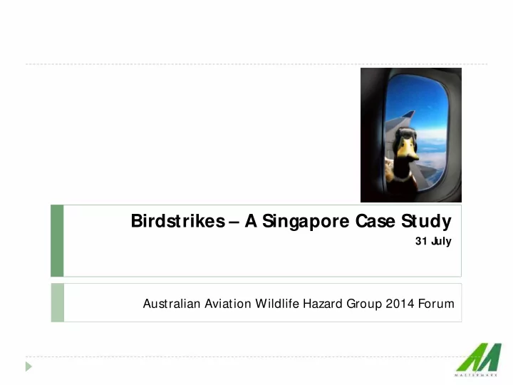 birdstrikes a singapore case study