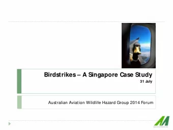 Birdstrikes  A Singapore Case Study  31 J  uly  Australian Aviation Wildlife Hazard Group 2014