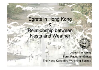 Egrets in Hong Kong  &amp;  Relationship between  Nests and Weather  Josephine Wong  Egret Research